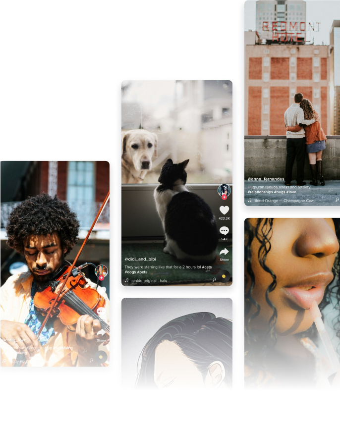 Scale viral campaigns with whitelisted advertising accounts on TikTok