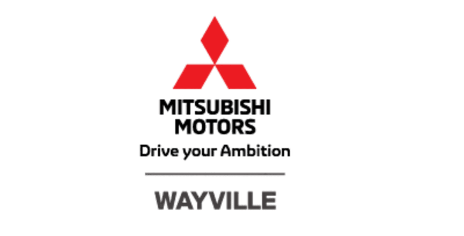 Partner Logos (17)
