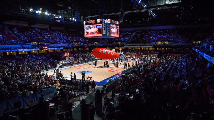NBL26 in review: growth on and off the court