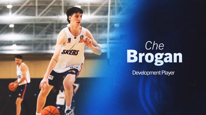 Brogan signed as DP