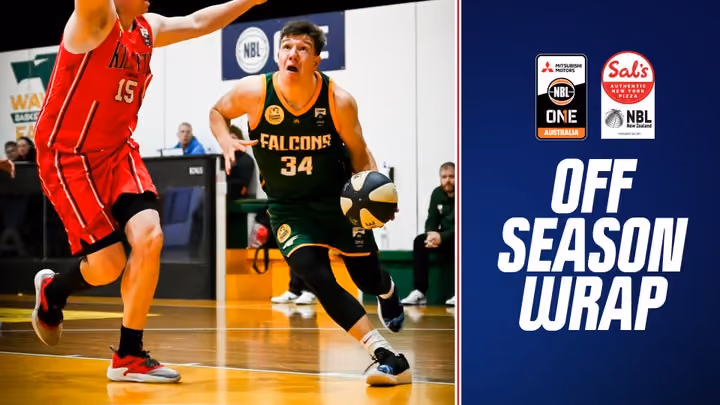 Vasiljevic stars as Falcons continue win streak