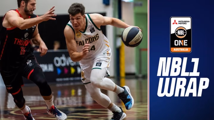 Vasiljevic on target as Falcons split double header