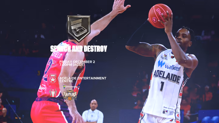 Snakes catching fire on the road
