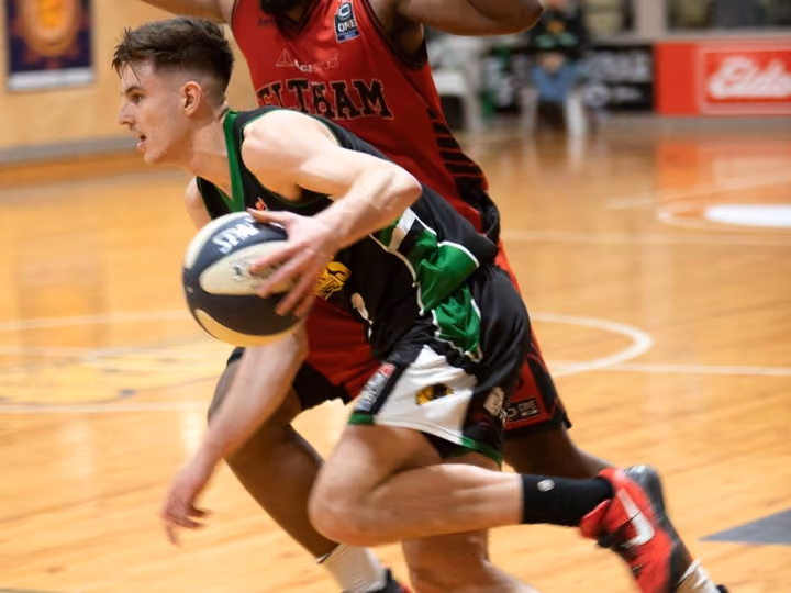 36ers NBL1 Weekly Recap