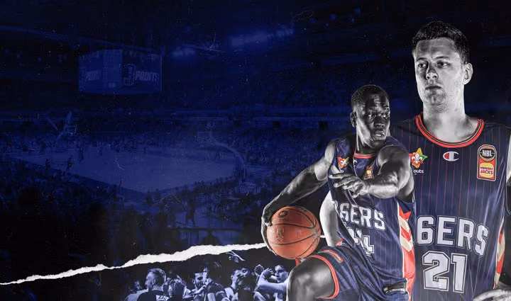 NBL22 Memberships Available Now!
