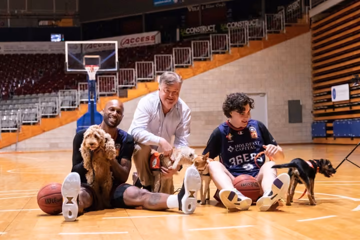Adelaide 36ers home game to support Australian Lion Hearing Dogs