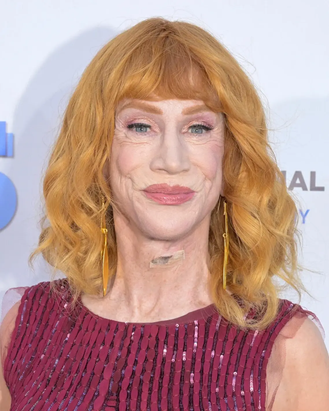 Kathy Griffin before and after her third facelift