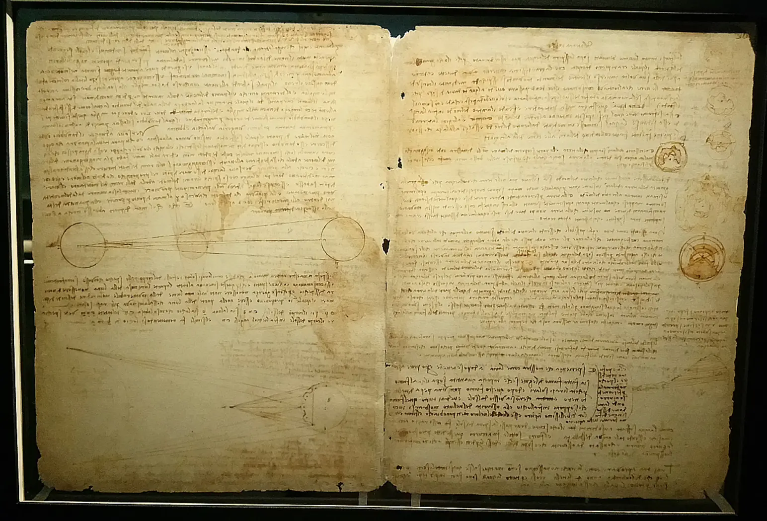Codex Leicester