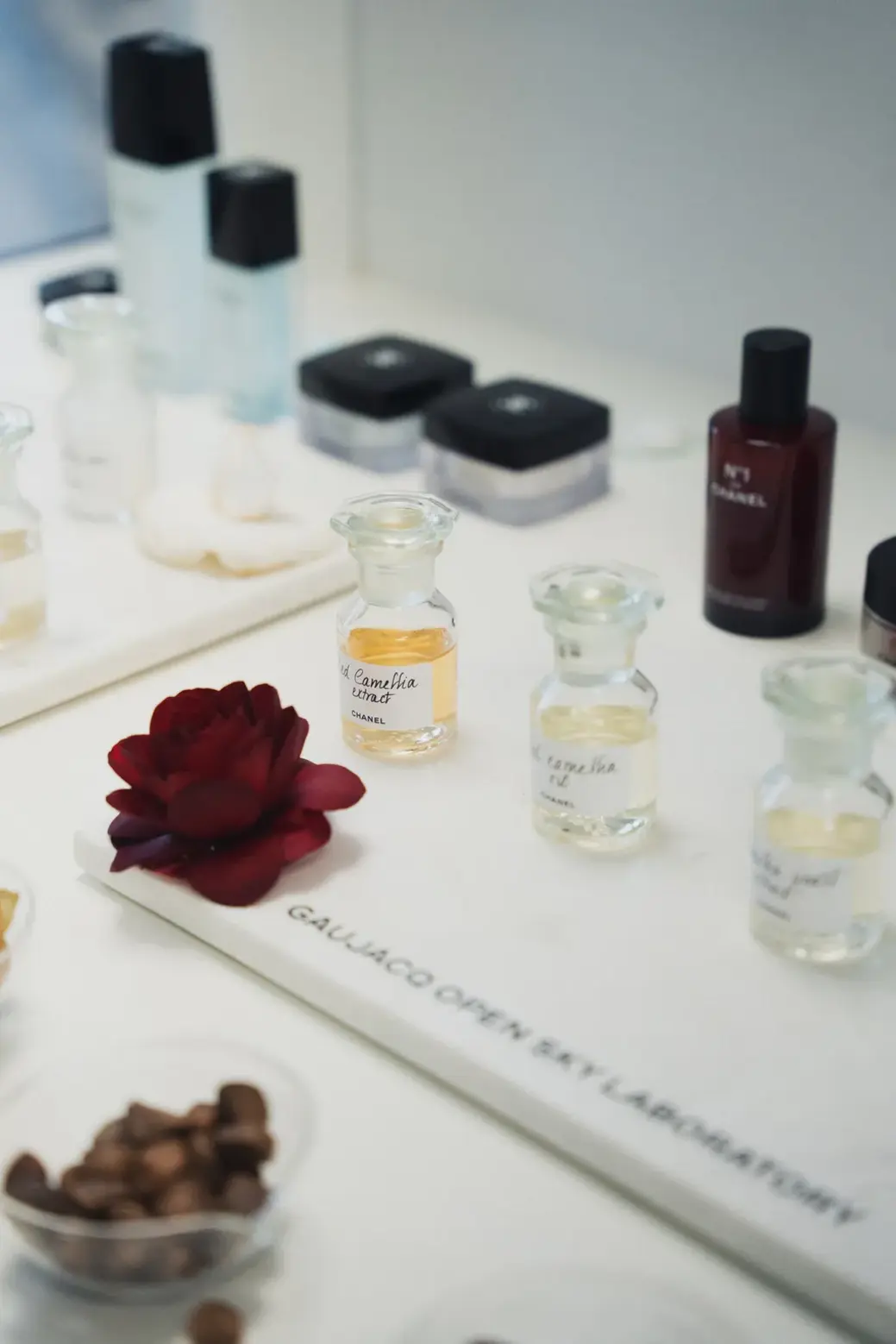 How Perfume Is Made: Bottled Stories