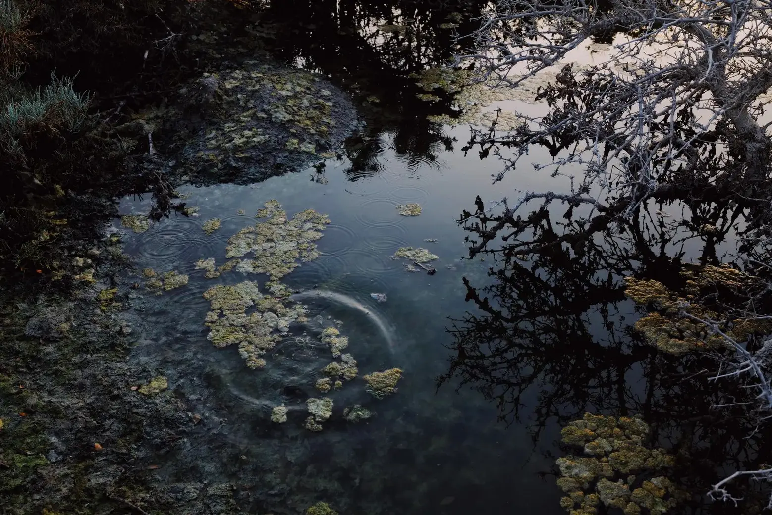 Stories of the Isle and the Inlet" by Maraj studio Stories of the Isle and the Inlet" by Maraj studio