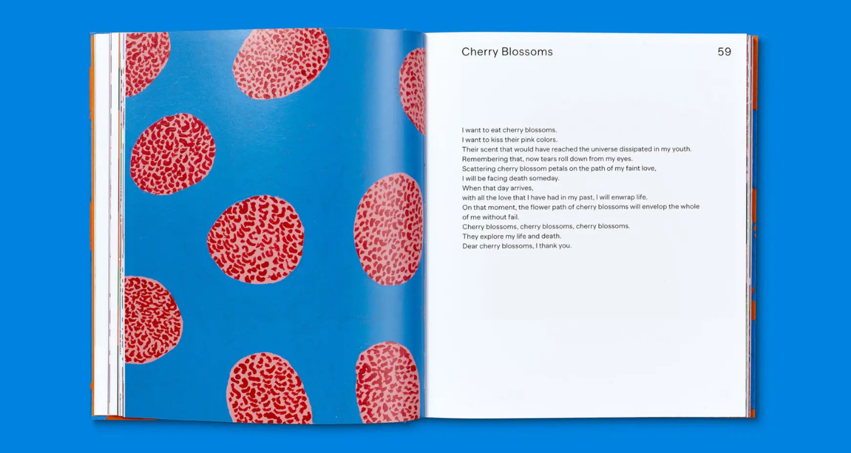 Every Day I Pray for Love