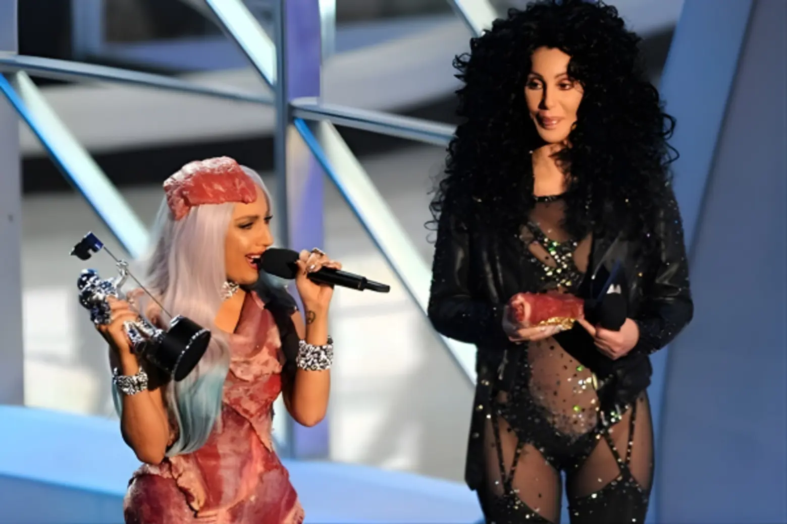Lady Gaga and Cher at the 2010 MTV VMAs (Cher's face, you get it)