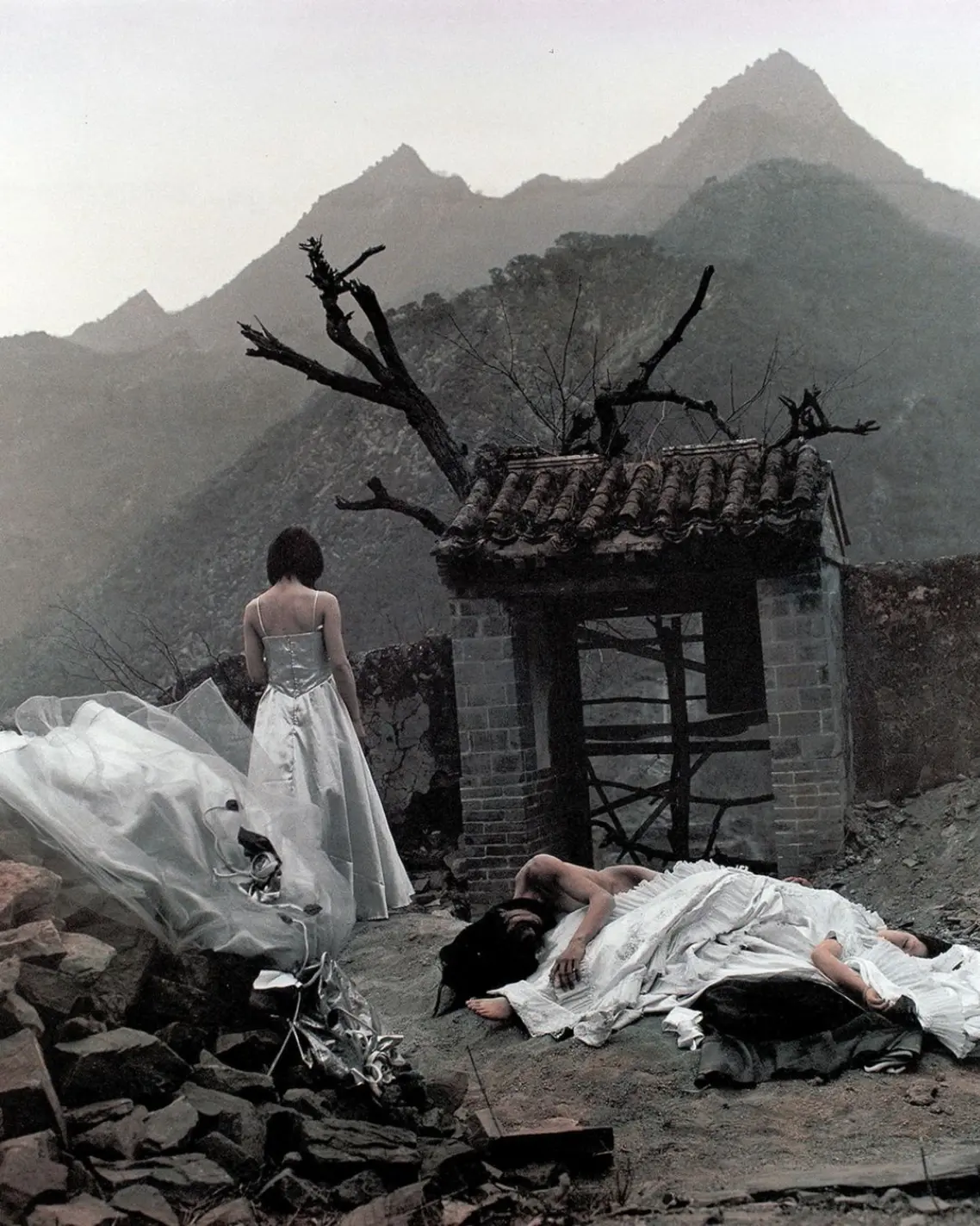 How Photography Solidified Its Status as a Core Asset Class