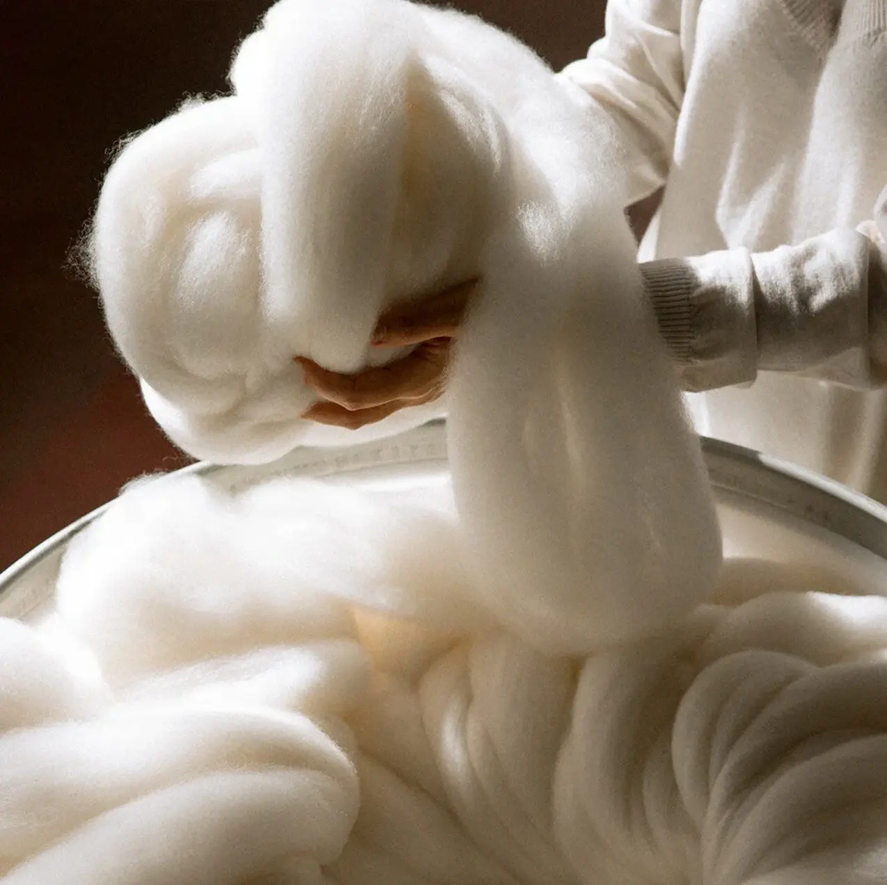 Fine cashmere fiber, hand-combed from Mongolian goats for the Burberry Cashmere Scarf Fine cashmere fiber, hand-combed from Mongolian goats for the Burberry Cashmere Scarf