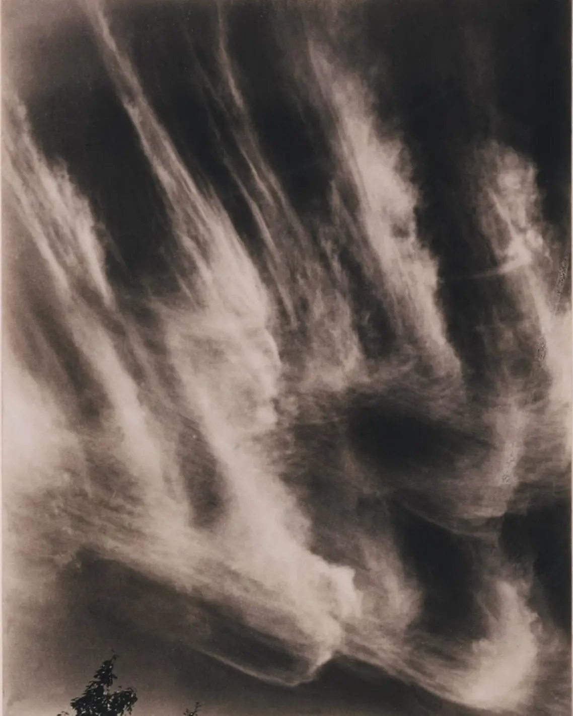 Equivalent, 1930, gelatin silver print, 11.8 x 9.3 cm (4 5/8 x 3 11/16 in.) Alfred Stieglitz photography