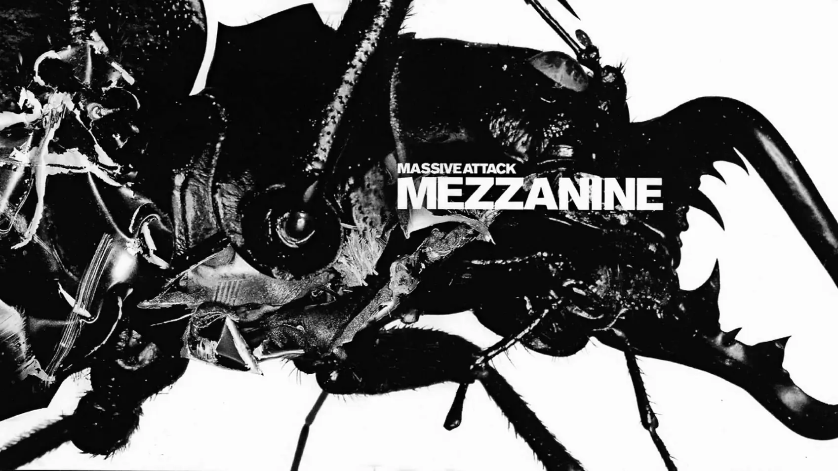 Cover art for the album Mezzanine by the British band Massive Attack photography by Nick Knight.