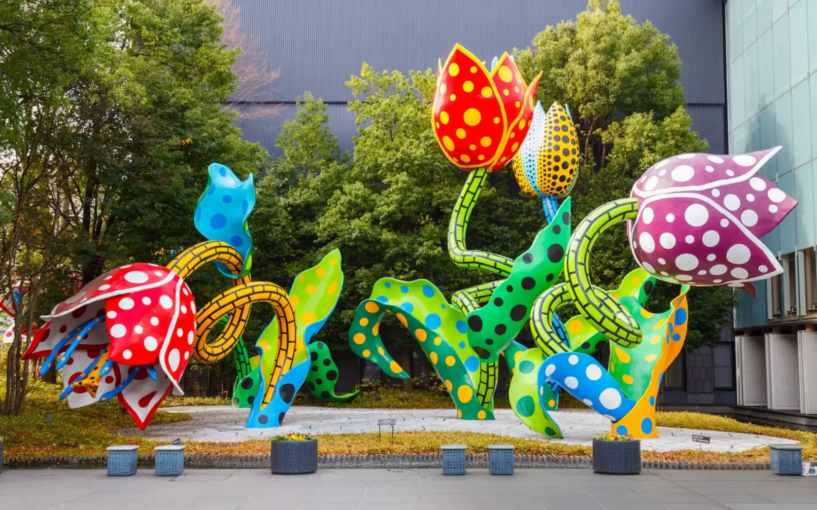 Maboroshi-no-Hana (Visionary Flowers)