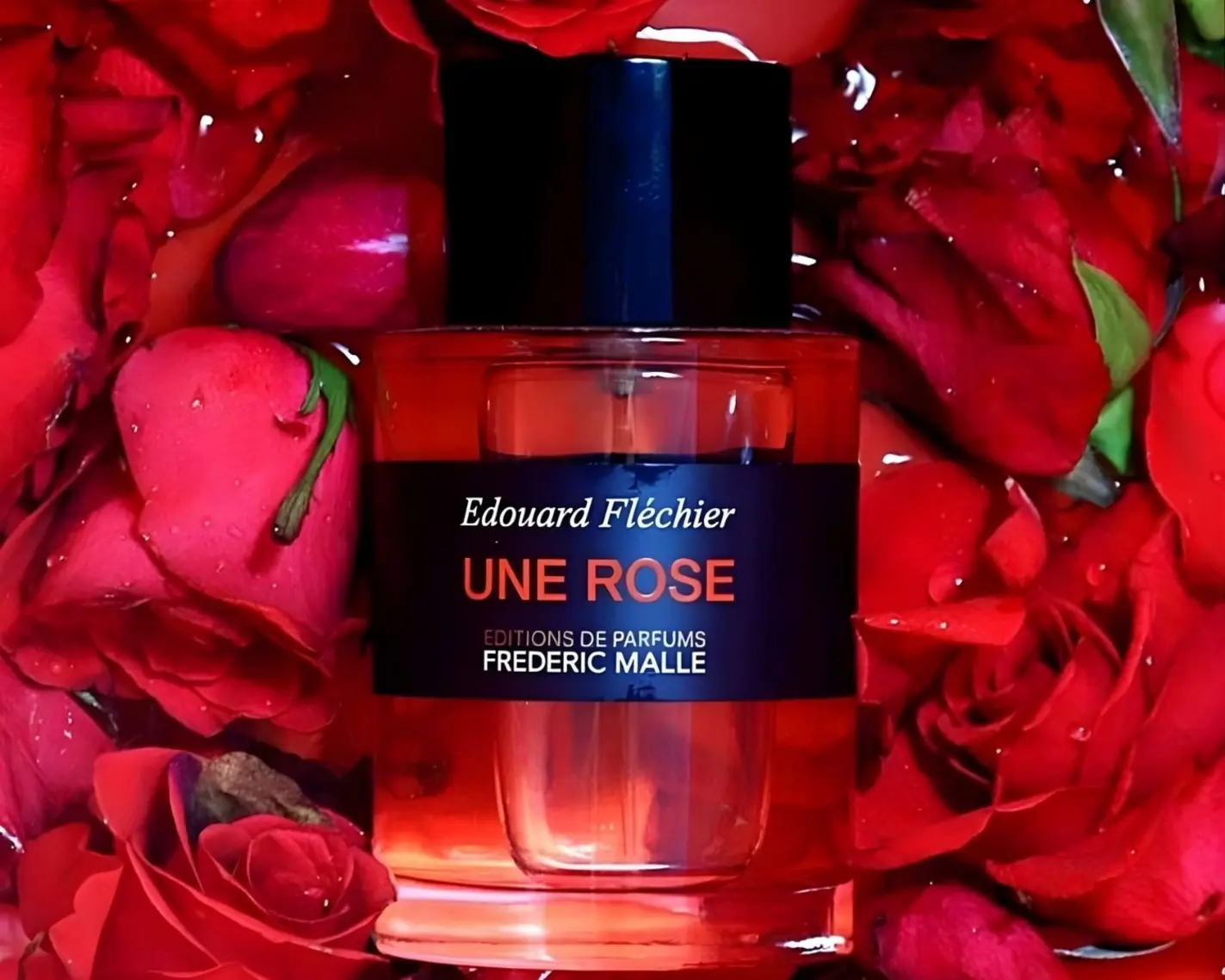 Single-Note Fragrances: Frédéric Malle Une Rose 1