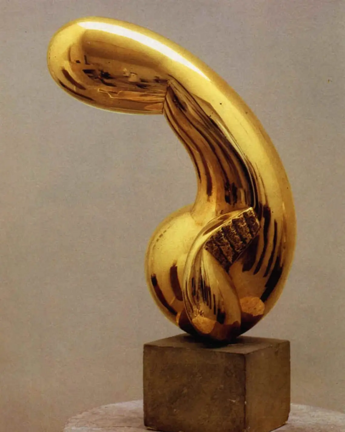 Brâncuși Retrospective