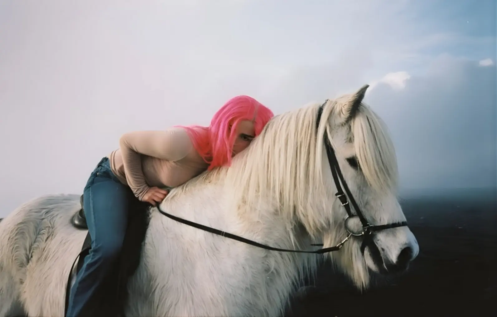 Horse Girl Fever Turned Labor Into Lifestyle