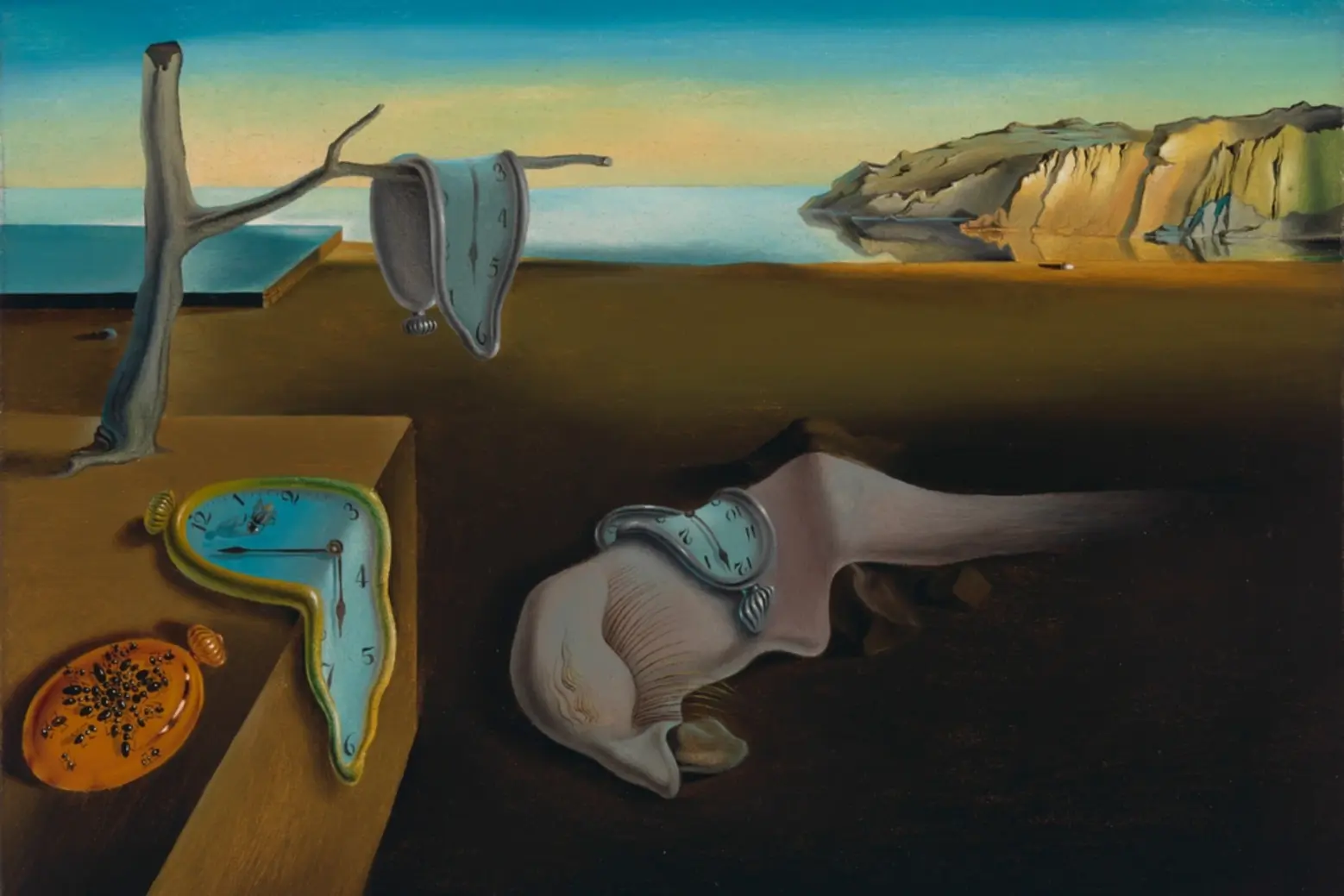 The Persistence of Memory Salvador Dalí The Persistence of Memory