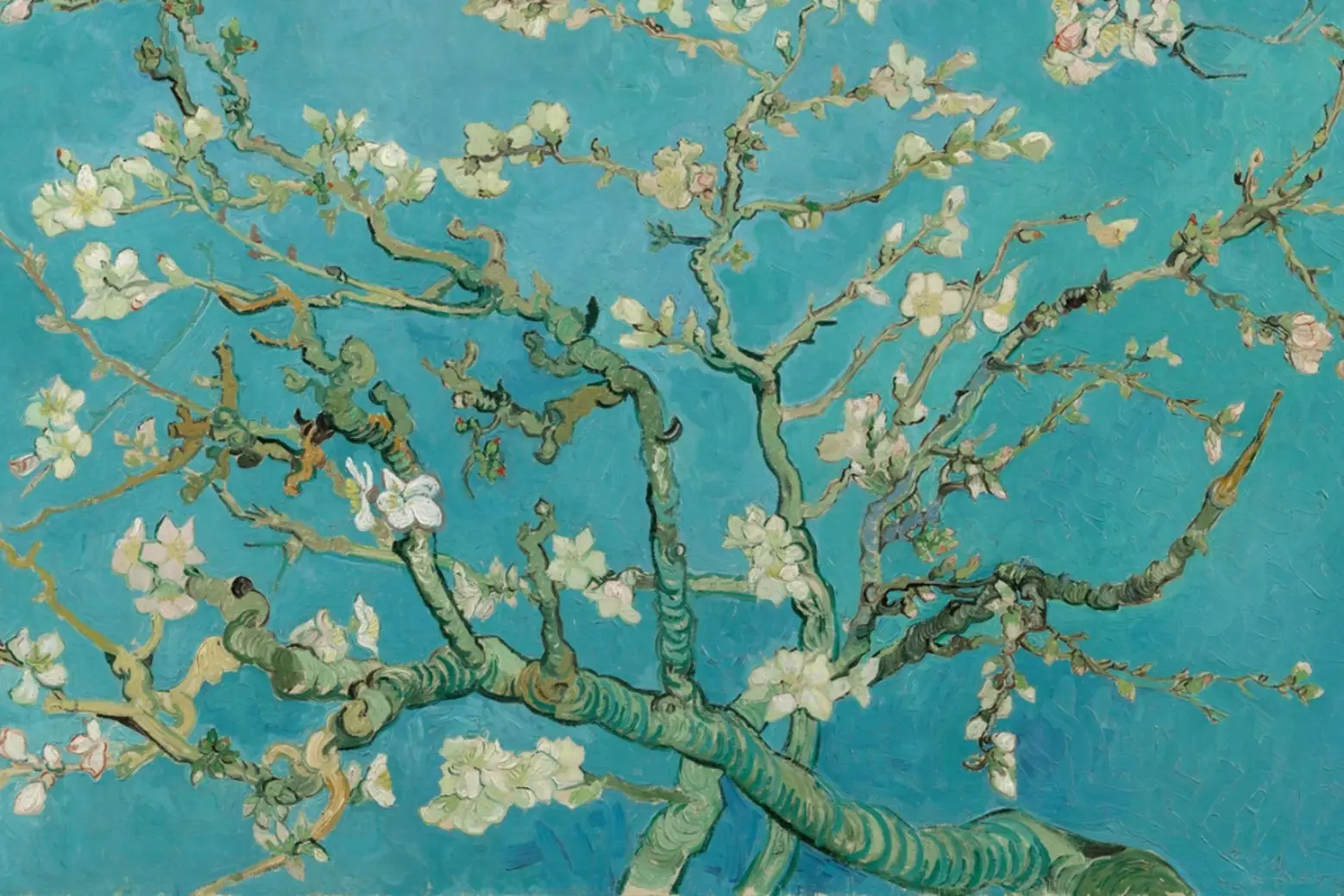 Ukiyo-e Almond Blossom