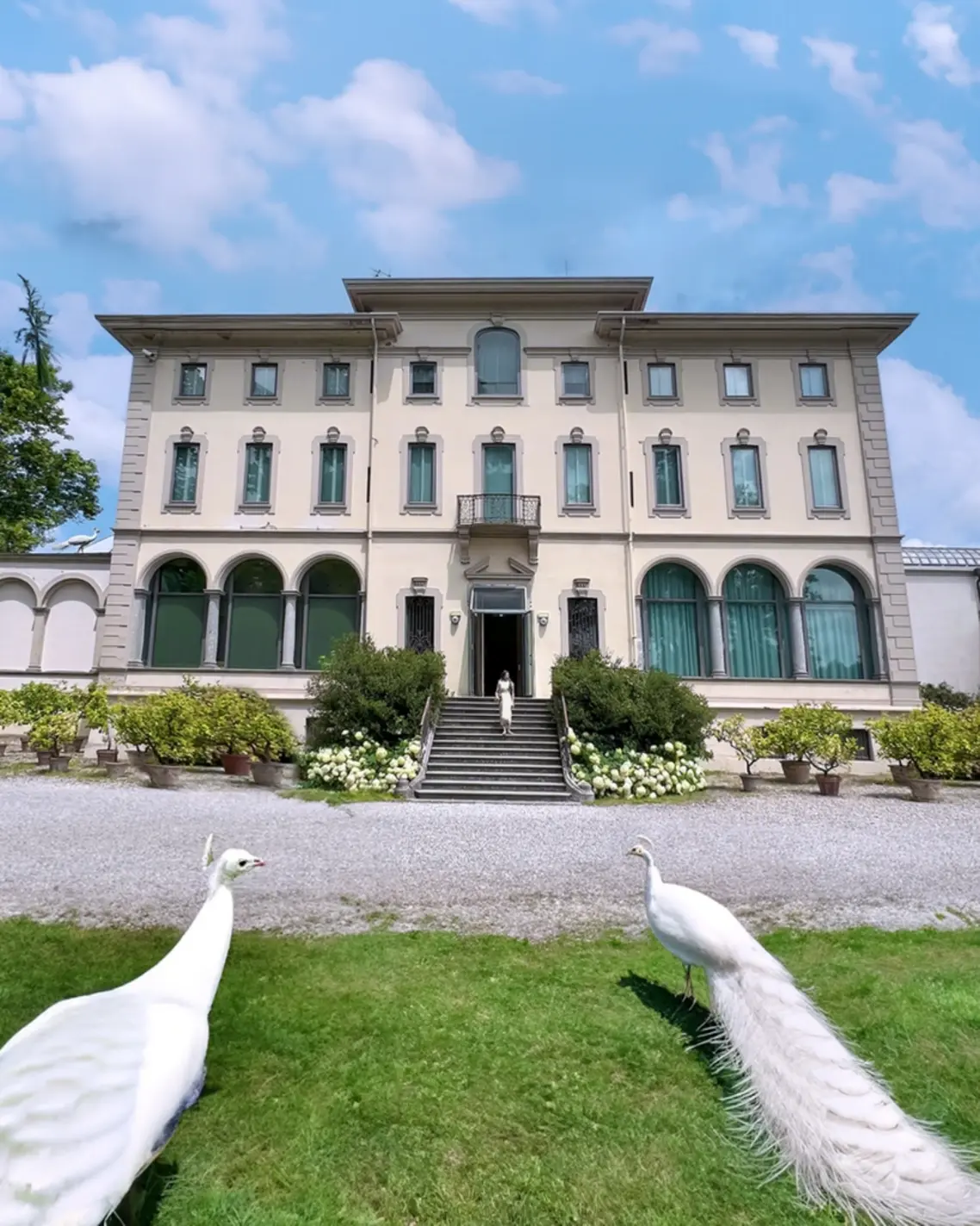 Magnani Rocca Foundation Art Heist Shocks Italy
