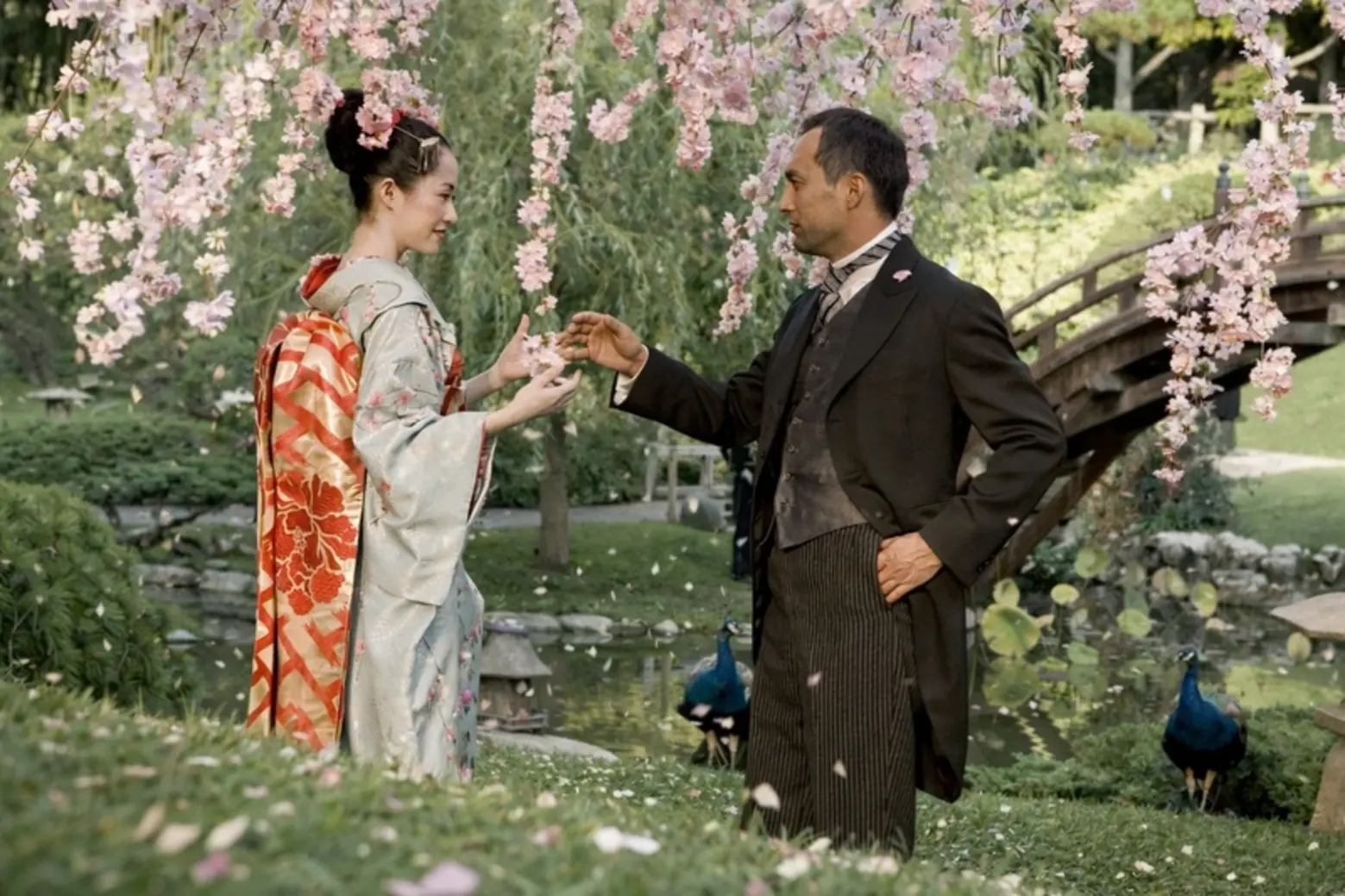 Kimono and the Beauty That Refuses to Fade 6