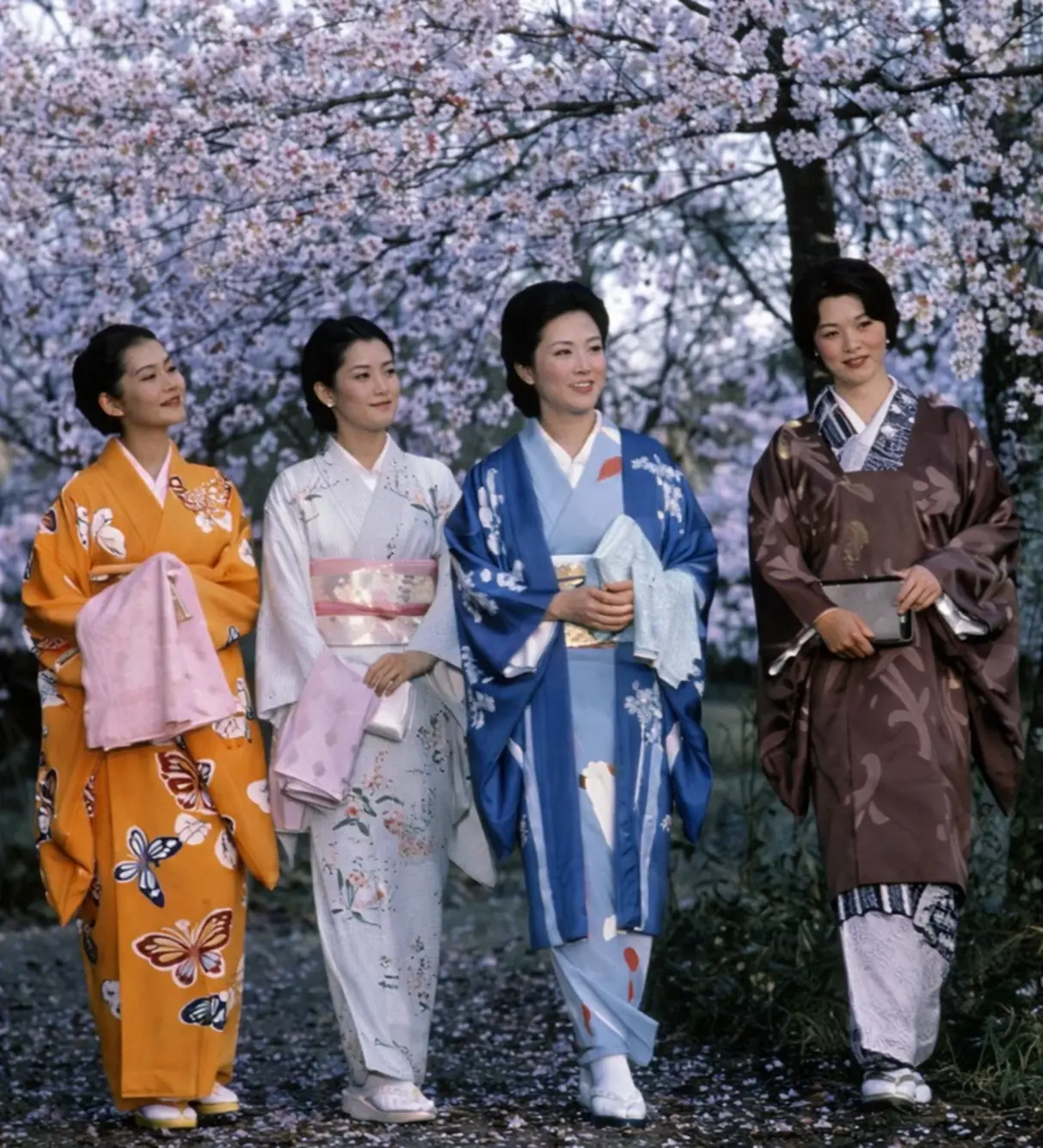 Kimono and the Beauty That Refuses to Fade 5