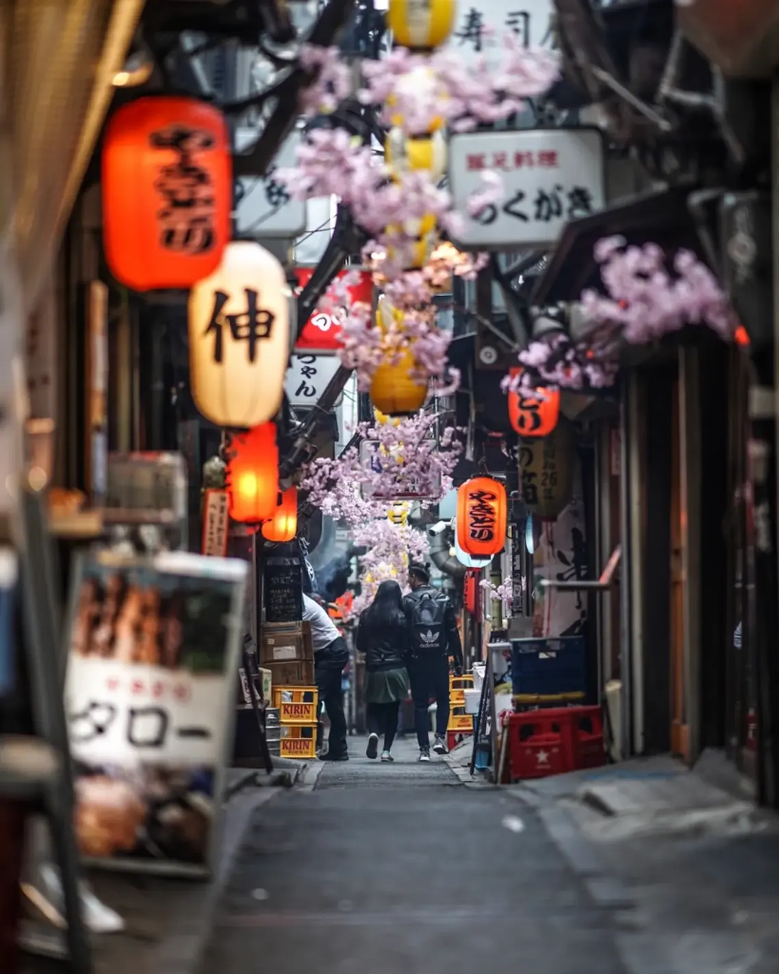 Tokyo After Dark, Tokyo At Dawn