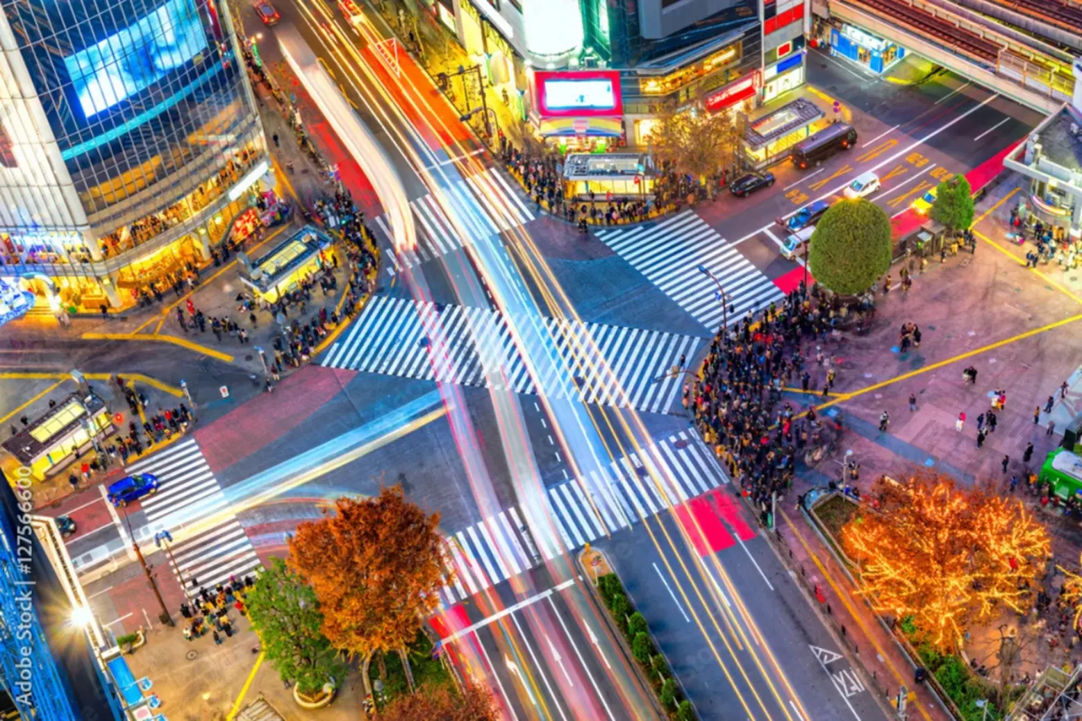 Shibuya Crossing Tokyo