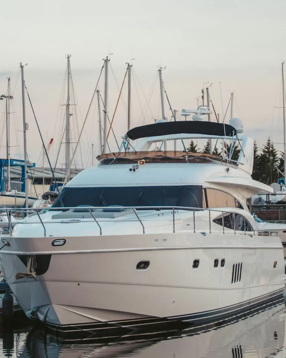 British Motor Yacht Show, Where You Buy At The Dock