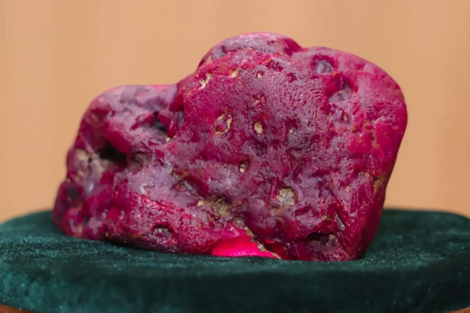 Pigeon Blood Pigeon Blood