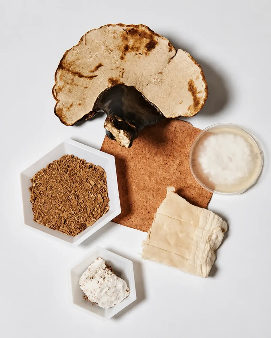 Mushroom Leather Wants To Replace Exotic Skins