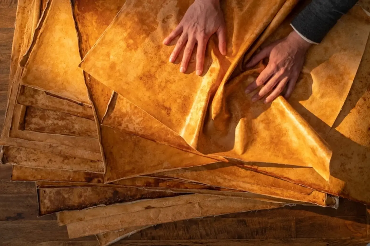Reishi Fine Mycelium Mushroom Leather 9