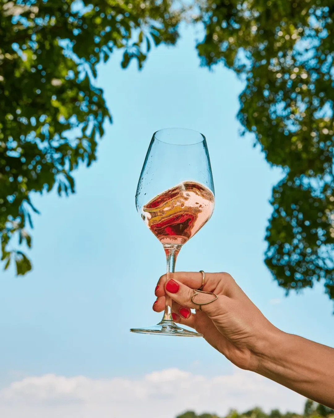 Fine Wine Finds Its Floor, and Collectors Return