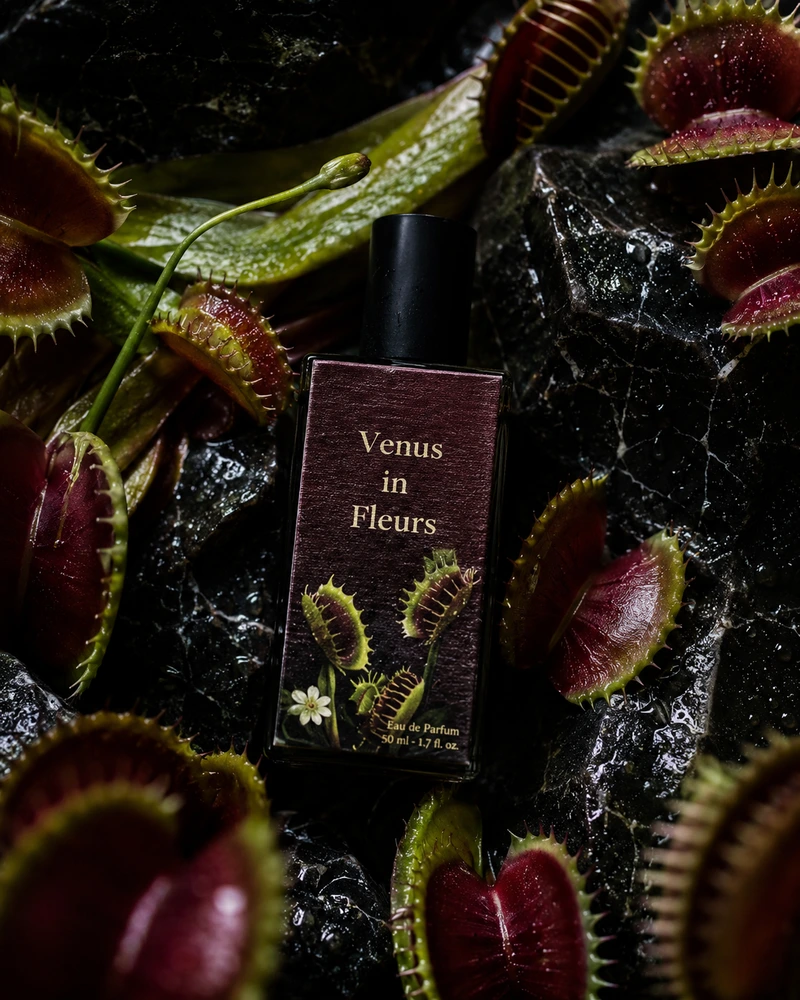 Rain Perfumes That Turn Summer Into A Pouring-Sky Love Scene 5 Rain Perfumes That Turn Summer Into A Pouring-Sky Love Scene 5