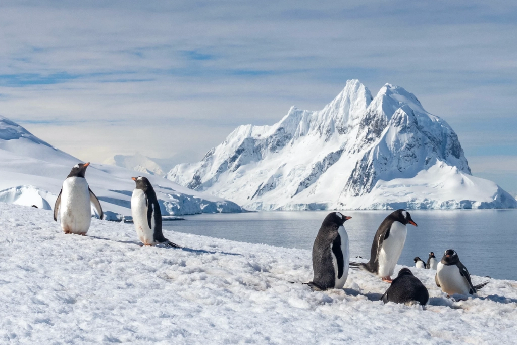 Antartica luxury travel destinations