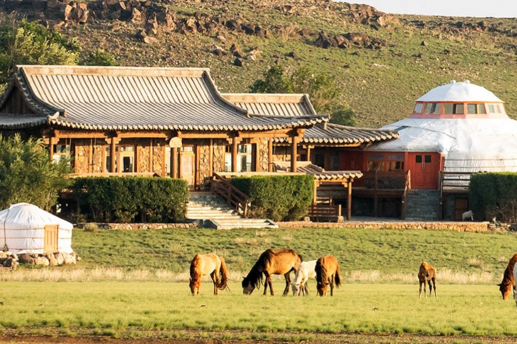 luxury stays in the Gobi Desert