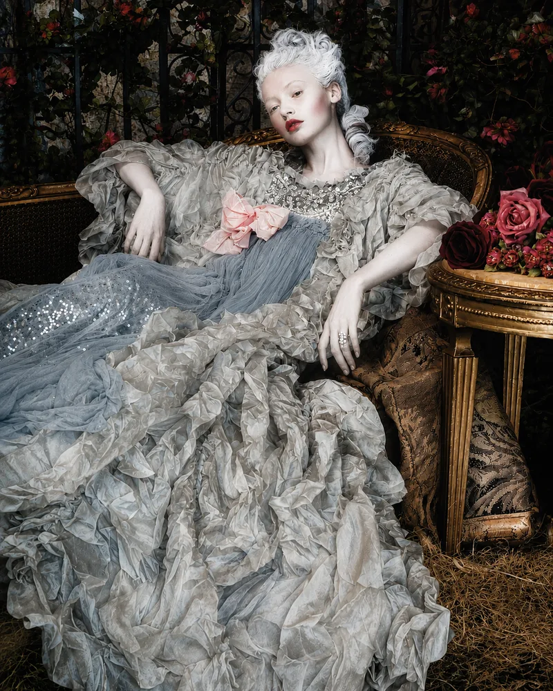 The Architecture of Rococo Style 0