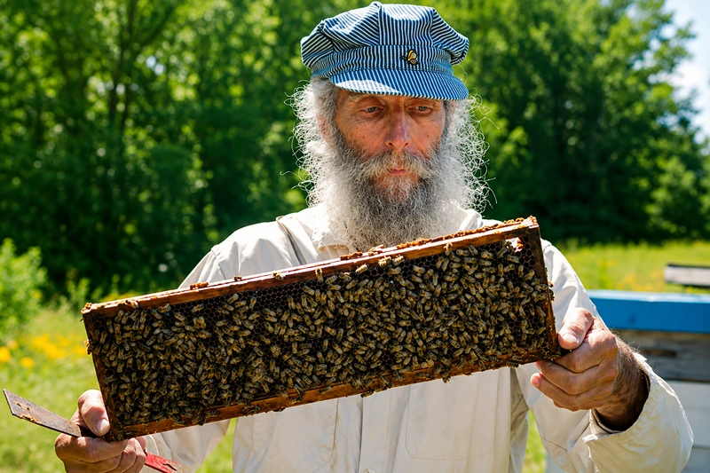 Burt’s Bees Lost The Beekeeper Who Became A Beauty Icon Burt’s Bees Lost The Beekeeper Who Became A Beauty Icon