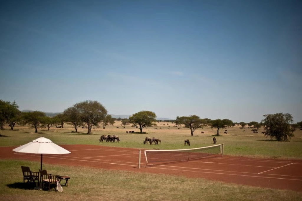 Luxury tennis courts Luxury tennis courts