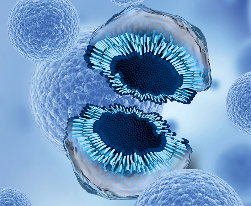 Exosome Skincare: Four Rules Before You Buy or Book Exosome Skincare: Four Rules Before You Buy or Book