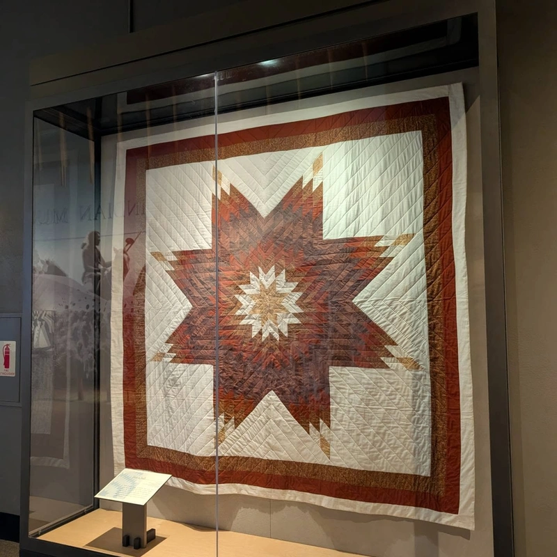 Springtime Star" Quilt made by Native American quiltmaker Frances Weasel, created between the years 1968 and 1982 Why Quilted Fabric Holds a Unique Place in Fashion 20