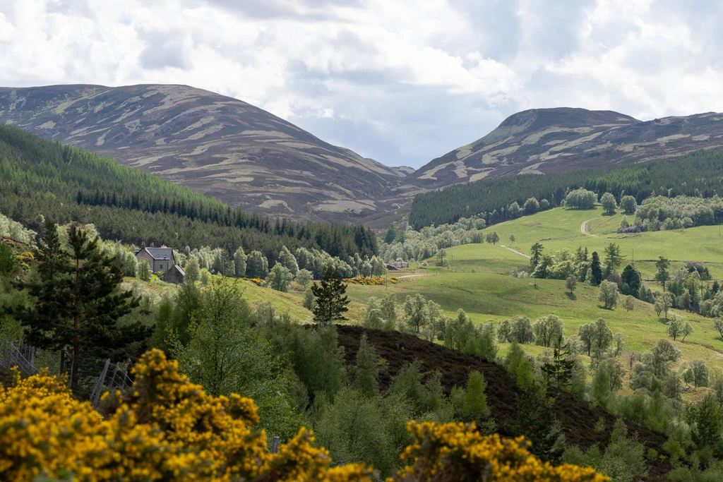 The Cairngorms Coolcationing
