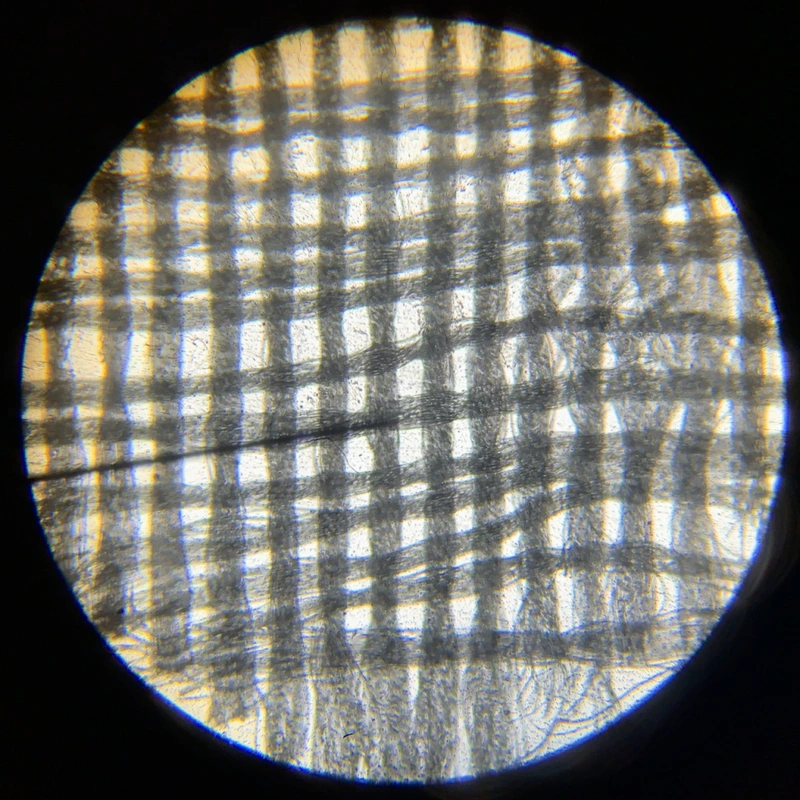 Chiffon weaving under microscope Chiffon Fabric: Inside Its Weightless World 6