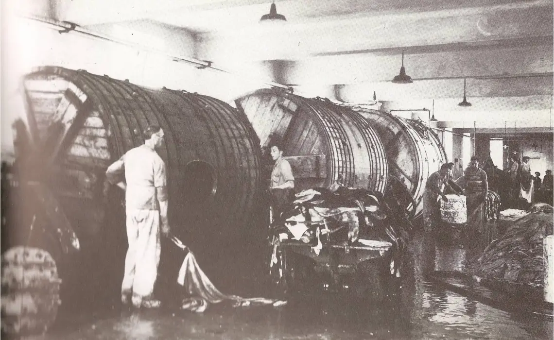 Mid 20-century tannery Suede Fabric: From Ancient Hide to Runway 12