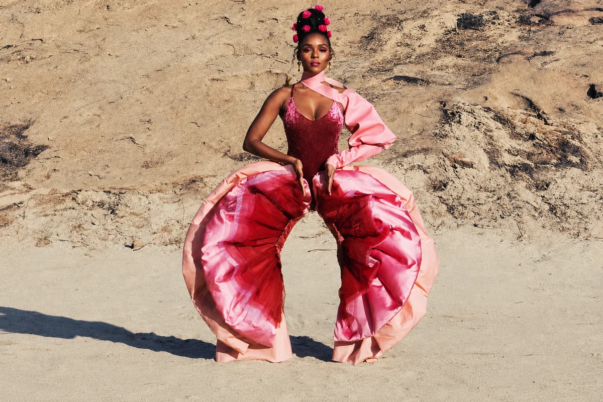 Pynk, Janelle Monáe Duran Lantink a