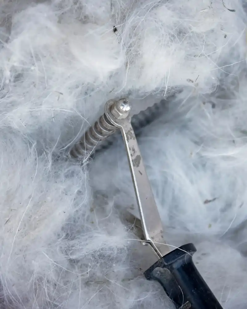 Cashmere coarse hair removal process Cashmere Fabric: Luxury Begins Beneath a Goat’s Fur 4