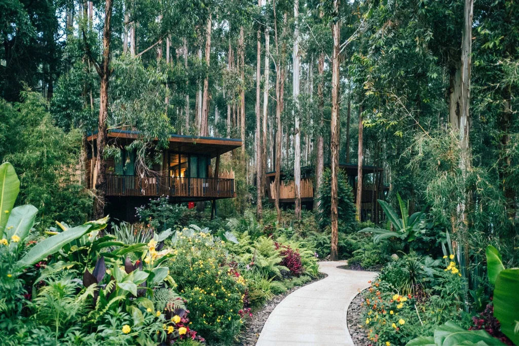 One&Only Gorilla’s Nest quietcation regenerative travel